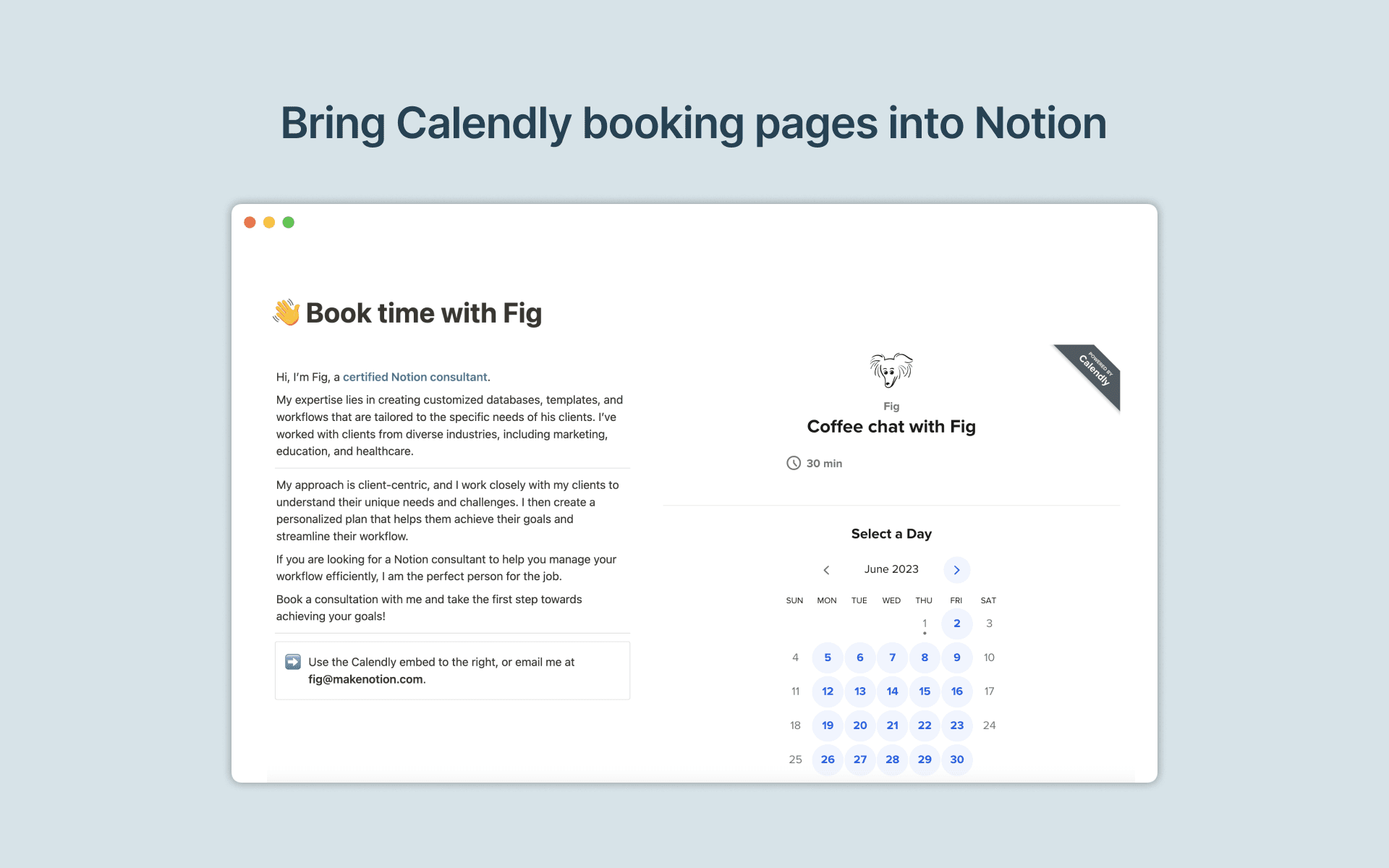Embed Calendly booking pages into Notion
