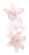 Profile picture of ☆*: .。.emilyy .。.:*☆